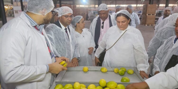 الزراعة: مفاوضات مصرية-دومينيكانية مكثفة.. إشادة بمنظومة الحجر الزراعي تمهيداً لفتح أسواق الكاريبي للموالح والرمان