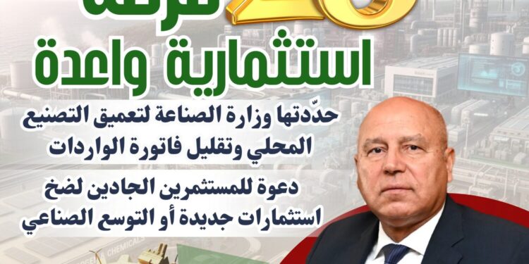 إنفوجراف .. تعرف بالتفصيل على الـ28 فرصة استثمارية واعدة من وزارة الصناعة بهدف تعميق التصنيع المحلي وتلبية احتياجات السوق