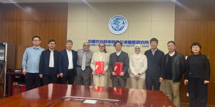 الزراعة: تعاون مصري صيني لتعزيز الابتكار في مجال الصحة الحيوانية 