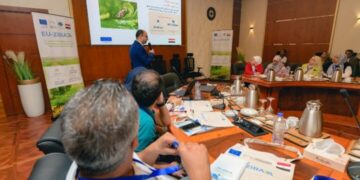 «الزراعة» تعلن بدء الموسم التصديري الجديد لمحصول البرتقال المصري منتصف ديسمبر المقبل