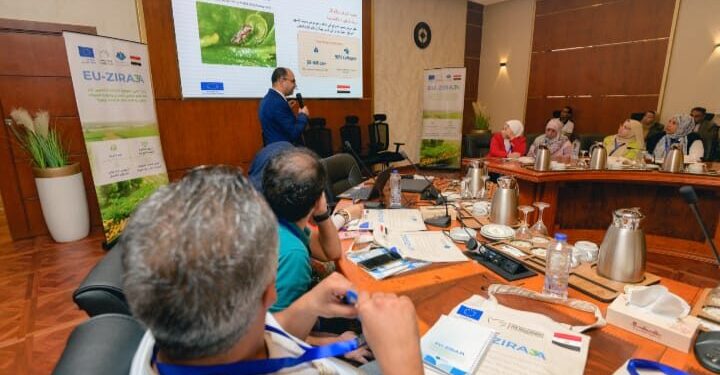 «الزراعة» تعلن بدء الموسم التصديري الجديد لمحصول البرتقال المصري منتصف ديسمبر المقبل