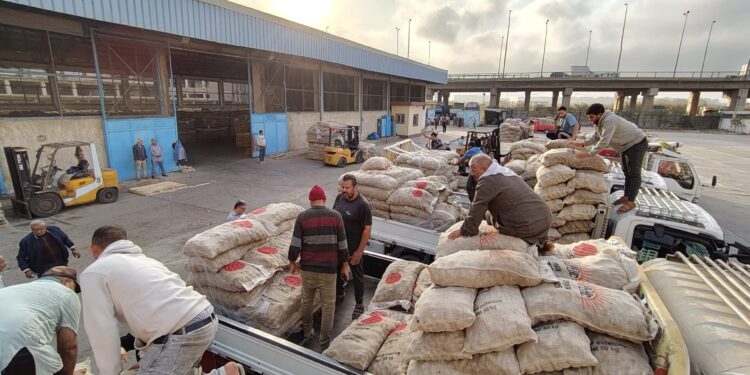 الاتحاد العام للحاصلات البستانية يبدأ تسليم تقاوي البطاطس للمزارعين ببرنامج زمني وأولوية حجز