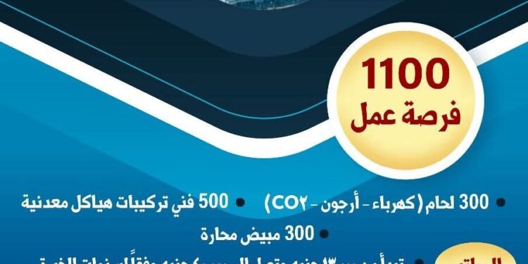 وزارة العمل: 1100 فرصة عمل جديدة بمشروع الضبعة بالتعاون مع شركة «تريست روسيم»