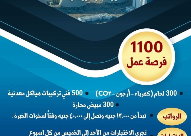 وزارة العمل: 1100 فرصة عمل جديدة بمشروع الضبعة بالتعاون مع شركة «تريست روسيم»