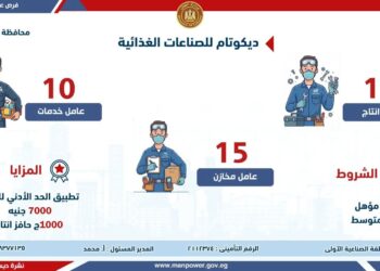 وزارة العمل تُعلن عن فرص عمل جديدة في شركات خاصة.. بالتعاون مع مديرية عمل الجيزة