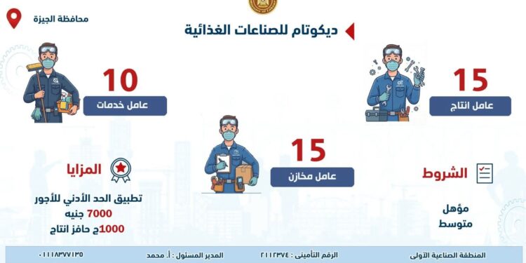 وزارة العمل تُعلن عن فرص عمل جديدة في شركات خاصة.. بالتعاون مع مديرية عمل الجيزة
