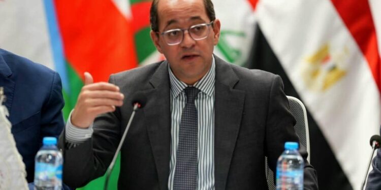 وزير المالية: القطاع الخاص المصري والعربي يستطيع إحداث نقلة كبيرة في اقتصادات المنطقة.. ودورنا نقدم له أكبر قدر من المساندة
