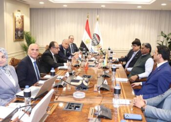 وزير قطاع الأعمال العام يستقبل سفير الهند بالقاهرة و شركة الفنادق الهندية المحدودة لبحث تعزيز التعاون وفرص الاستثمار