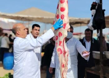 الزراعة: ضبط أكثر من 682 طنًا من اللحوم غير الصالحة وتحرير 1060 محضرًا خلال نوفمبر