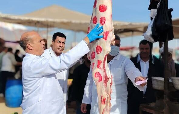 الزراعة: ضبط أكثر من 682 طنًا من اللحوم غير الصالحة وتحرير 1060 محضرًا خلال نوفمبر