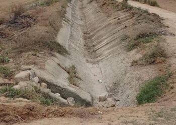 «استصلاح الأراضي» يزيل 80 حالة تعدي على الأراضي الزراعية ويطهر أكثر من 50 مسقى ومصرف خلال اسبوع