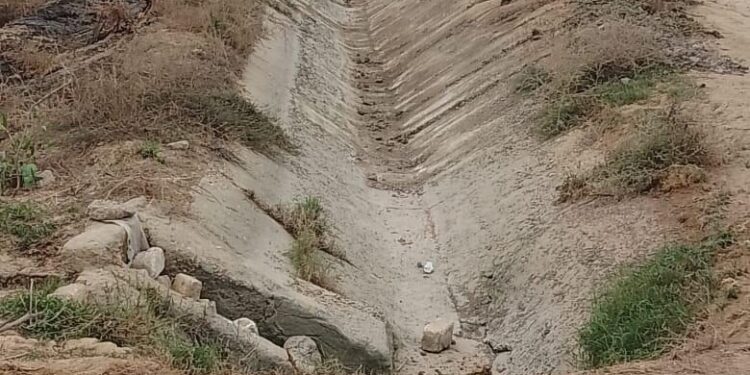 «استصلاح الأراضي» يزيل 80 حالة تعدي على الأراضي الزراعية ويطهر أكثر من 50 مسقى ومصرف خلال اسبوع