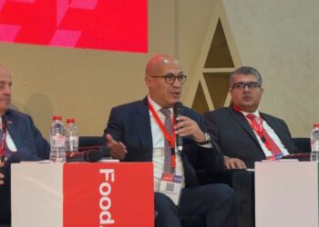 نائب التصديري للحاصلات الزراعية: القيمة المضافة هي سر التنافسية في الأسواق العالمية