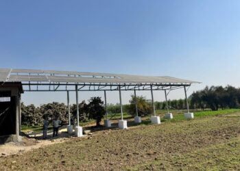 أكثر من 600 فدان حتى الآن.. ​«الزراعة» تواصل أعمال مشروع تطوير ري قصب السكر في «قفط وقوص» بقنا