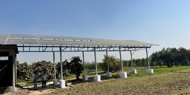 أكثر من 600 فدان حتى الآن.. «الزراعة» تواصل أعمال مشروع تطوير ري قصب السكر في «قفط وقوص» بقنا