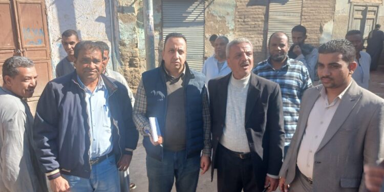 «الزراعة» تكشف حقيقه انهيار منازل في الأقصر بسبب النمل الأبيض