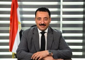 د. محمد رزق: تحديث وثيقة ملكية الدولة إعلان بدء مرحلة جديدة لاقتصاد أكثر جرأة وانفتاحًا يقوده القطاع الخاص