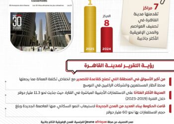 بالإنفوجراف.. «مجلس الوزراء»: القاهرة تتصدر المدن الإفريقية الأكثر جاذبية لعام 2025