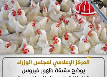 مجلس الوزراء يوضح حقيقة ظهور فيروس إنفلونزا الطيور بالمزارع المصرية