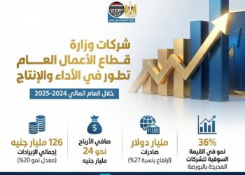 إنفوجراف .. تعرف علي تطور الأداء المالي والتشغيلي لشركات قطاع الأعمال العام