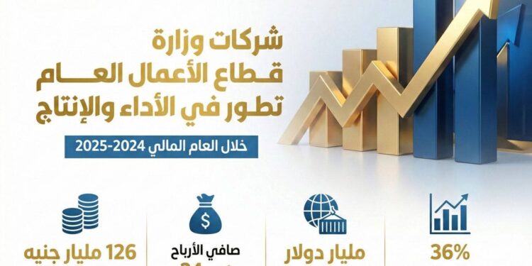 إنفوجراف .. تعرف علي تطور الأداء المالي والتشغيلي لشركات قطاع الأعمال العام