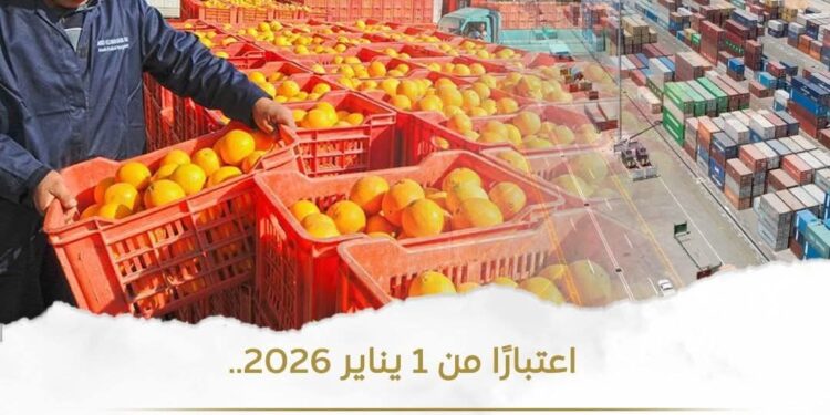 اعتباراً من أول يناير .. فتح السوق جمهورية الدومينيكان أمام الموالح المصرية والرمان