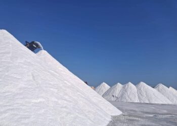 قطاع الأعمال: «النصر للملاحات» تصدر أكبر شحنة ملح في تاريخها من ميناء العريش و تطور كبير في ربحية الشركة