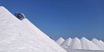 قطاع الأعمال: «النصر للملاحات» تصدر أكبر شحنة ملح في تاريخها من ميناء العريش و تطور كبير في ربحية الشركة