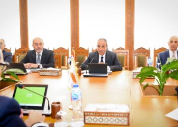 مشاورات سياسية بين مصر وقبرص لدعم العلاقات الثنائية وبحث التطورات الإقليمية