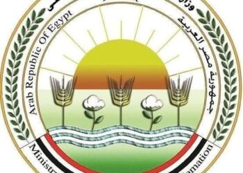 بالأرقام.. طفرة في خدمات التحسين الوراثي والرعاية البيطرية للماشية خلال ديسمبر