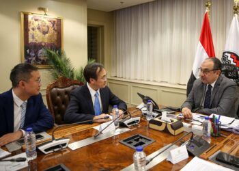 وزير قطاع الأعمال العام يستقبل وفدًا رفيع المستوى من مجموعة شاندونج الصينية لبحث فرص التعاون في صناعة المركبات الكهربائية