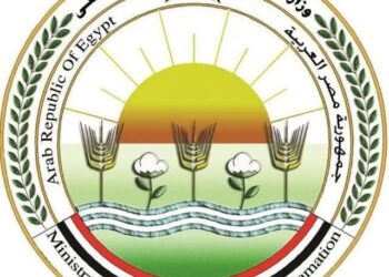 الزراعة: تحصين 1.7 مليون رأس ماشية ضد «الحمى القلاعية» حتى الآن بالحملة الاستثنائية