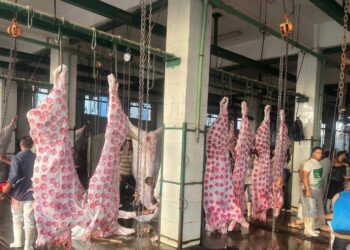 «الزراعة»: المجازر الحكومية استقبلت 705 ألف رأس ماشية خلال النصف الثاني من 2025