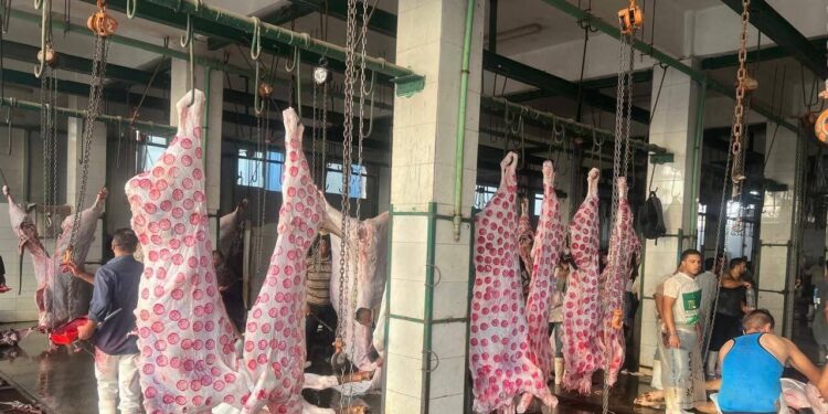 «الزراعة»: المجازر الحكومية استقبلت 705 ألف رأس ماشية خلال النصف الثاني من 2025