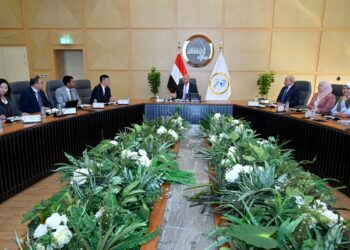 وزير الصناعة يبحث مع شركة شين فينج ستيل الصينية خطة الشركة لإنشاء مجمع صناعي متكامل لإنتاج ألواح السيارات و الصلب