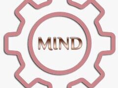 تعرف بالخطوات على تطبيق دعم المستثمرين الخاص بوزارة الصناعة لتلقي الشكاوى الصناعية 