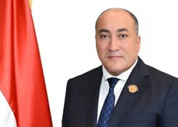 برلماني: كلمة الرئيس السيسي في دافوس عكست رؤية مصر المتكاملة للاستقرار والتنمية