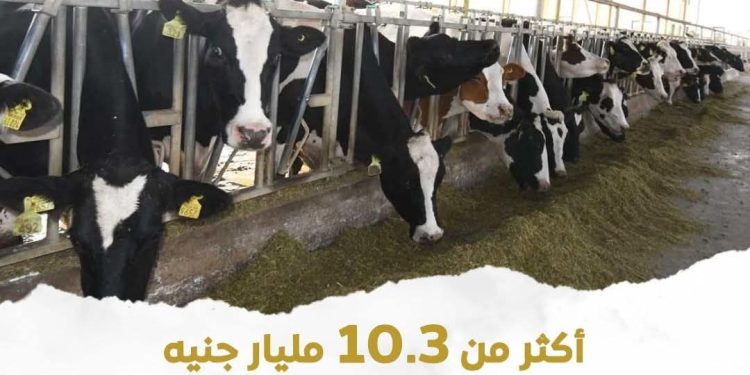 وزارة الزراعة: 10.3 مليار جنيه إجمالي تمويلات مشروع البتلو ل 45.5 ألف مستفيد