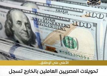41.5 مليار دولار تحويلات المصريين العاملين بالخارج في عام 2025