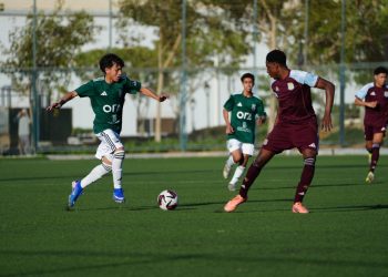 بعد تجديد الثقة: وزير الزراعة يؤكد مواصلة العمل على دعم الفلاح وتحقيق الأمن الغذائي