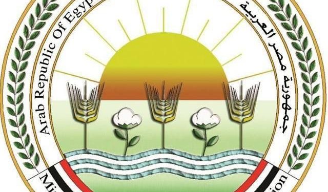 الزراعة: تطلق حزمة خدمات مجانية ودعماً فنياً لمربي الدواجن لرفع كفاءة الإنتاج