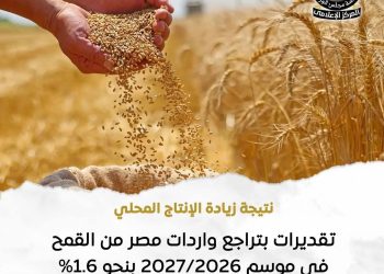 الزراعة الأمريكية: 9.8 مليون طن يُقدَّر إنتاج القمح في مصر لموسم 2027/2026 بزيادة 6.5% عن الموسم السابق