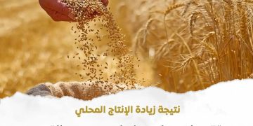 الزراعة الأمريكية: 9.8 مليون طن يُقدَّر إنتاج القمح في مصر لموسم 2027/2026 بزيادة 6.5% عن الموسم السابق