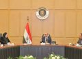 وزير الاستثمار يبحث مع المجلس التصديري للتشييد والبناء آليات التوسع الخارجي وتعزيز النفاذ للأسواق الدولية بحضور ممثلي شركات التأمين