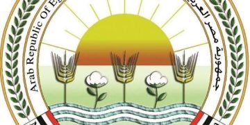 «الزراعة» تعلن خطة لتعزيز نفاذ الصادرات الزراعية المصرية للأسواق العربية والخليجية في إطار دعم الأمن الغذائي الإقليمي