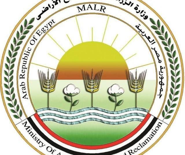 «الزراعة» تعلن خطة لتعزيز نفاذ الصادرات الزراعية المصرية للأسواق العربية والخليجية في إطار دعم الأمن الغذائي الإقليمي