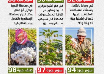 مبكرة النضج وموفرة للمياه.. «الزراعة» تعلن خريطة أصناف القطن المعتمدة لموسم 2026