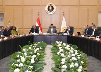 وزير الصناعة يبحث مع وزيري الاستثمار والمالية محاور البرنامج الوطني لتنمية صناعة السيارات