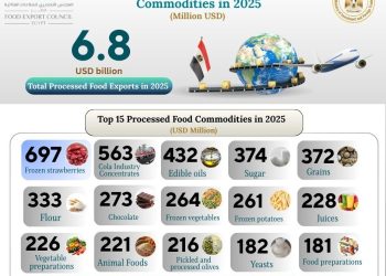 15 سلعة تقود 71% من صادرات الصناعات الغذائية المصرية في 2025 بقيمة 4.82 مليار دولار