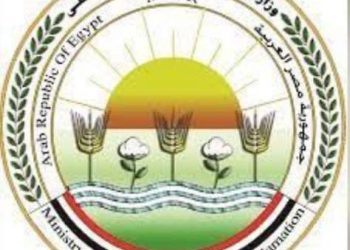 «الزراعة» تطمئن الفلاحين.. استقرار كامل في إمدادات الأسمدة المدعمة ولا نقص في الحصص